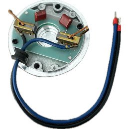 Carbones para motor Centurion D5 Evo CENTURION Solutimp